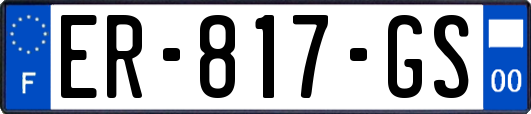 ER-817-GS