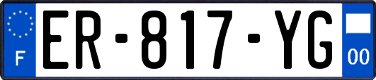 ER-817-YG
