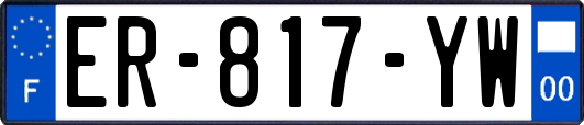 ER-817-YW
