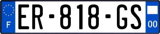 ER-818-GS