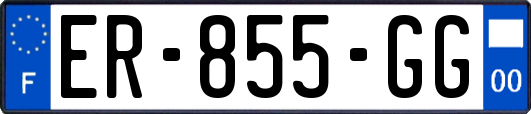 ER-855-GG