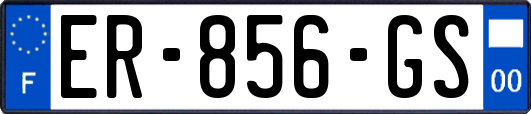 ER-856-GS