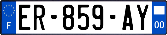 ER-859-AY