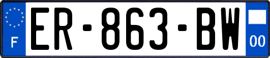 ER-863-BW
