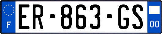 ER-863-GS