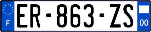 ER-863-ZS