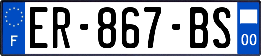 ER-867-BS