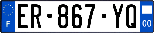 ER-867-YQ