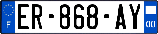 ER-868-AY