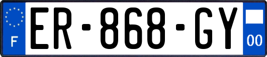 ER-868-GY