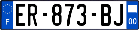 ER-873-BJ