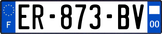 ER-873-BV