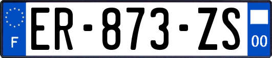 ER-873-ZS