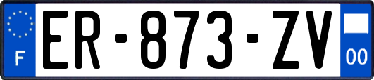 ER-873-ZV