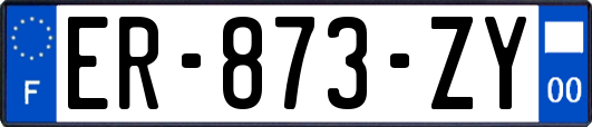 ER-873-ZY
