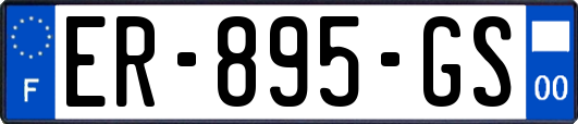 ER-895-GS