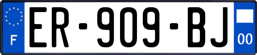 ER-909-BJ