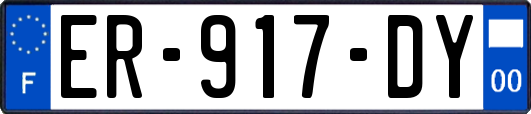 ER-917-DY