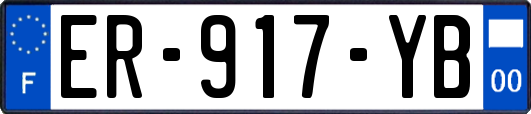 ER-917-YB