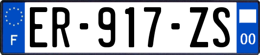 ER-917-ZS