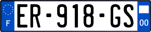 ER-918-GS