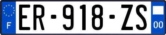 ER-918-ZS