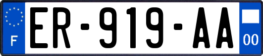 ER-919-AA