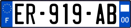 ER-919-AB