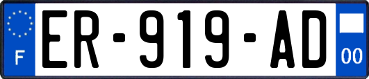 ER-919-AD