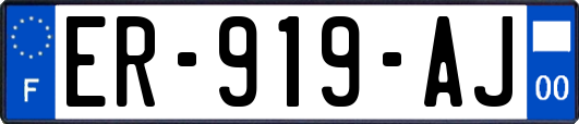 ER-919-AJ