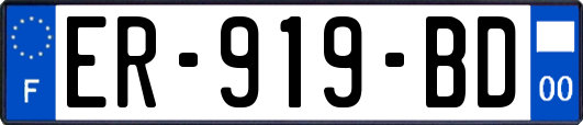 ER-919-BD