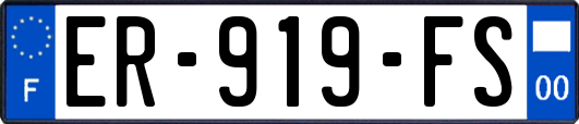 ER-919-FS