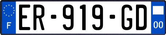 ER-919-GD