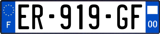 ER-919-GF