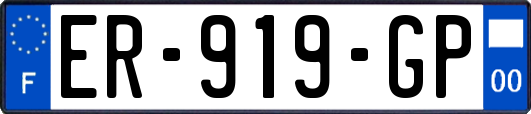 ER-919-GP