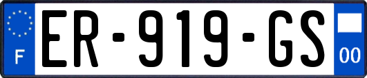 ER-919-GS