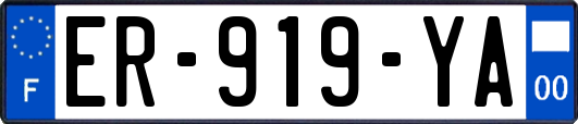 ER-919-YA