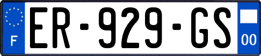 ER-929-GS