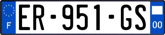 ER-951-GS