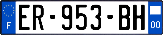 ER-953-BH