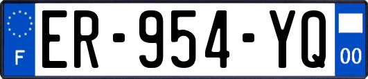 ER-954-YQ