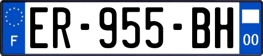 ER-955-BH