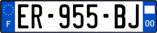 ER-955-BJ