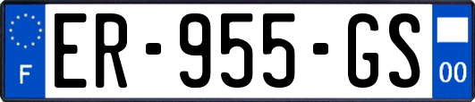ER-955-GS