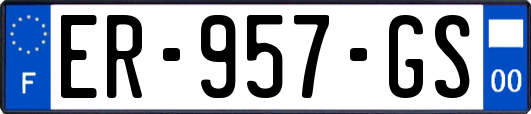 ER-957-GS