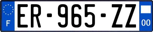 ER-965-ZZ