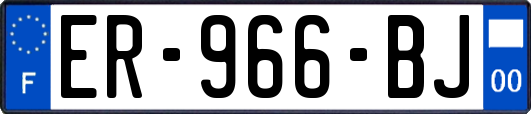 ER-966-BJ