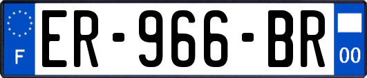 ER-966-BR