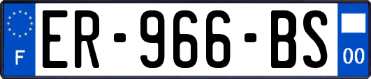 ER-966-BS