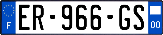 ER-966-GS